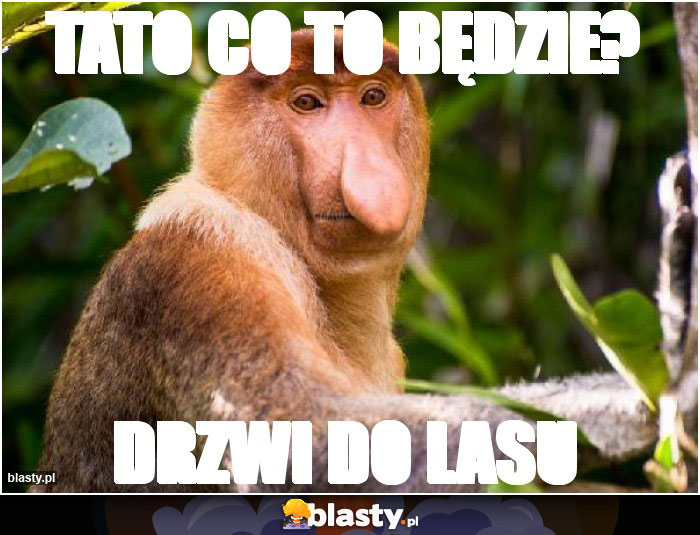 Tato co to będzie?