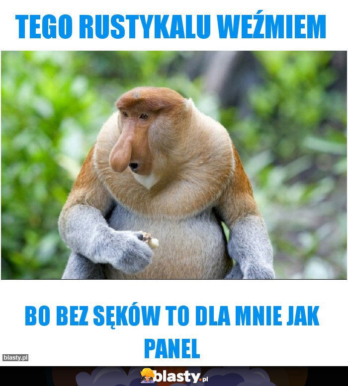 Tego Rustykalu weźmiem