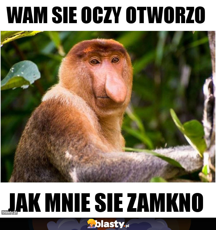 Wam sie oczy otworzo
