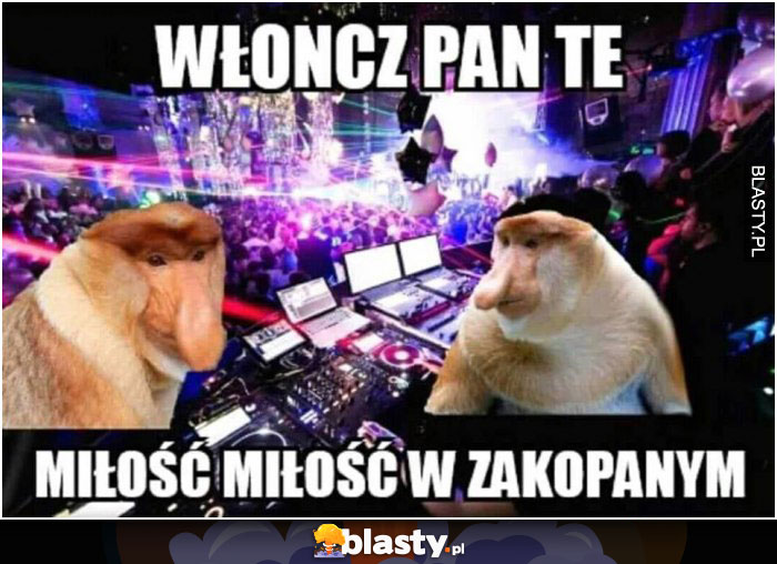 Włoncz pan te miłość