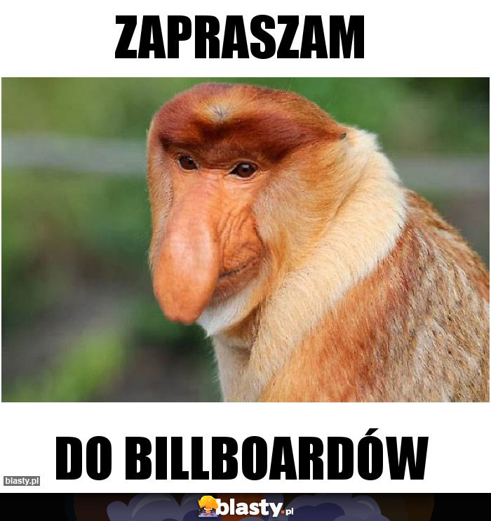 Zapraszam
