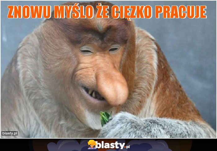 znowu myślo że cięzko pracuje