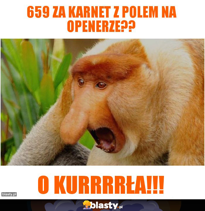 659 za karnet z polem na openerze??
