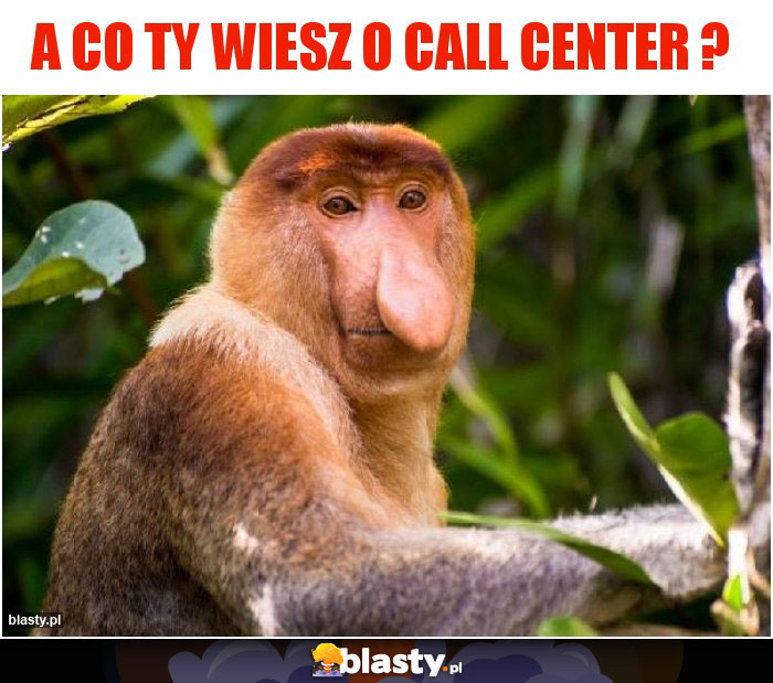 A co Ty wiesz o Call Center ?