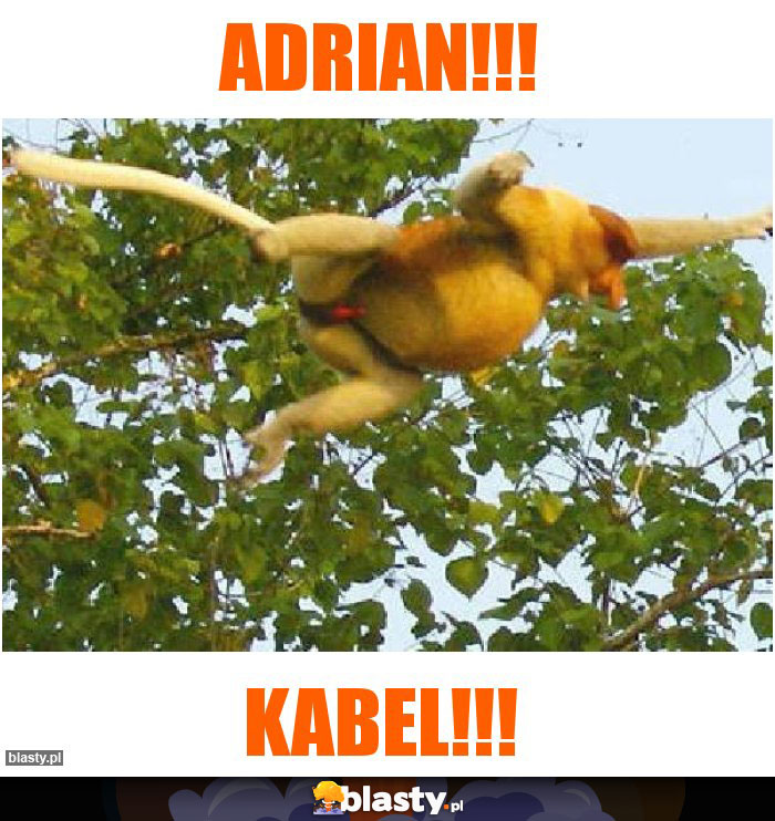 ADRIAN!!!