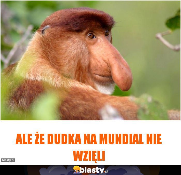 ALE ŻE DUDKA NA MUNDIAL NIE WZIĘLI