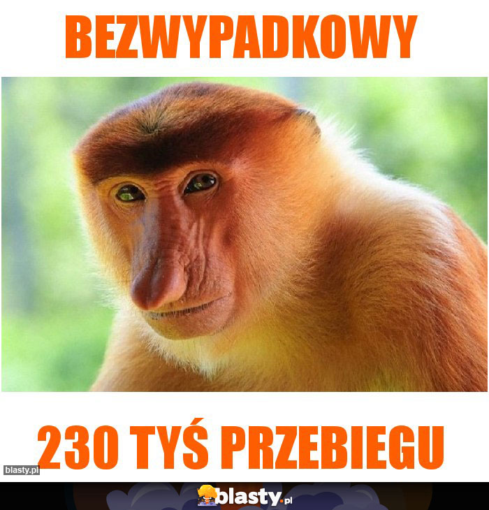 Bezwypadkowy