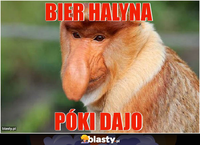Bier halyna