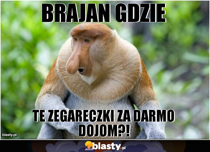 Brajan gdzie