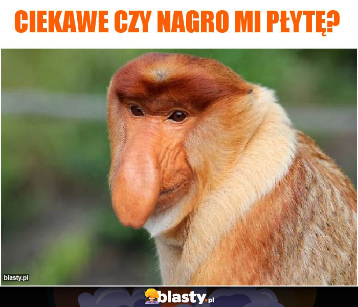 Ciekawe czy nagro mi płytę?