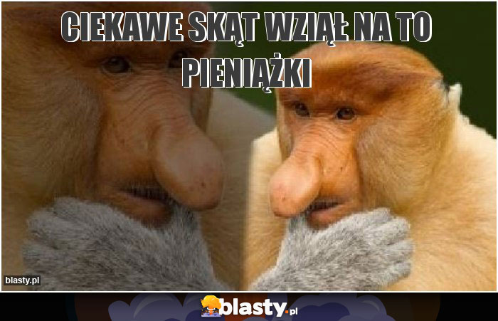Ciekawe skąt wziął na to pieniążki