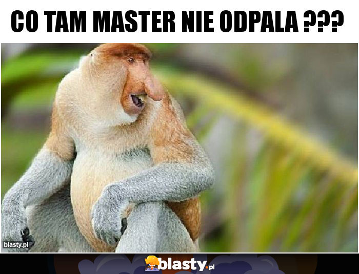 Co tam master nie odpala ???