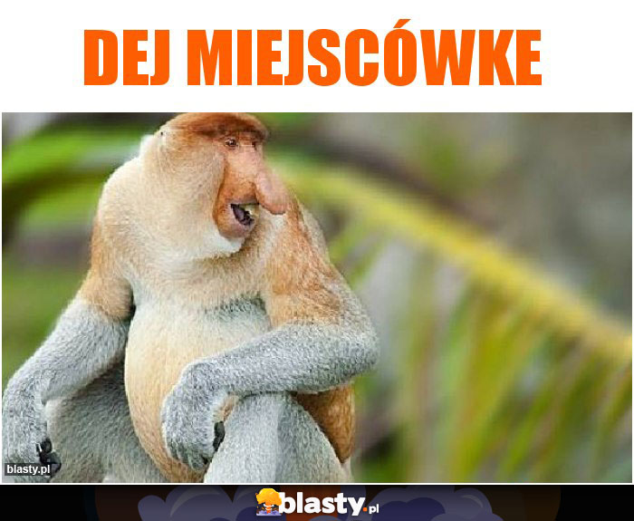 DEJ MIEJSCÓWKE