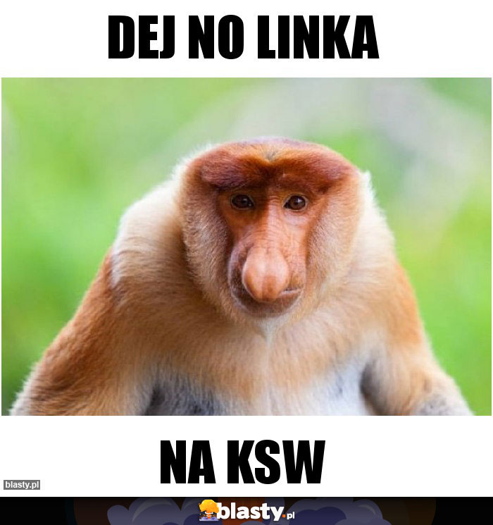 Dej no linka