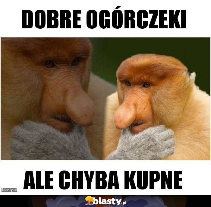 Dobre ogórczeki