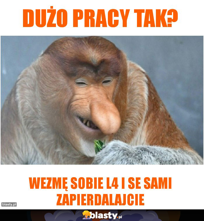 Dużo pracy tak?