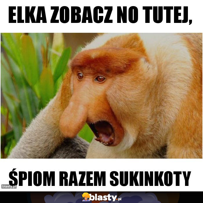 Elka zobacz no tutej,