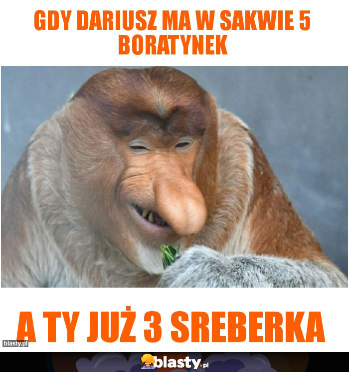 Gdy Dariusz ma w sakwie 5 boratynek