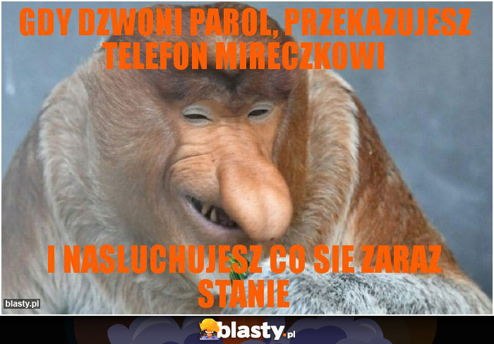 GDY DZWONI PAROL, PRZEKAZUJESZ TELEFON MIRECZKOWI