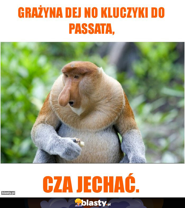 Grażyna dej no kluczyki do passata,