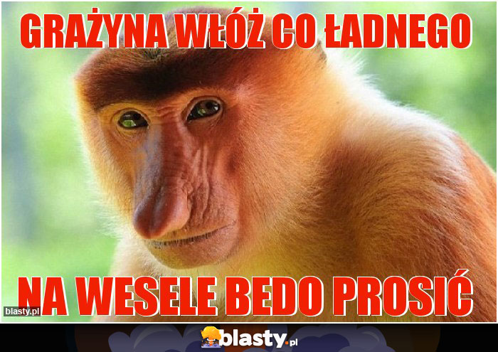 Grażyna włóż co ładnego