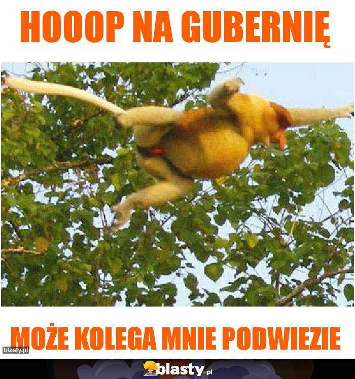 Hooop na gubernię