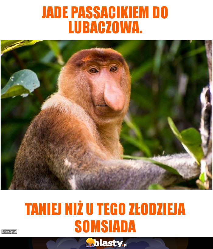 Jade passacikiem do Lubaczowa.