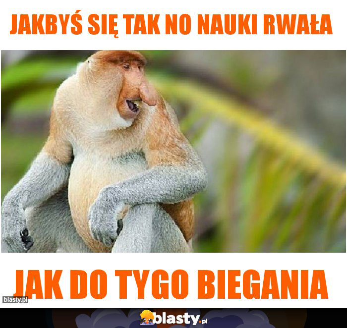 Jakbyś się tak no nauki rwała