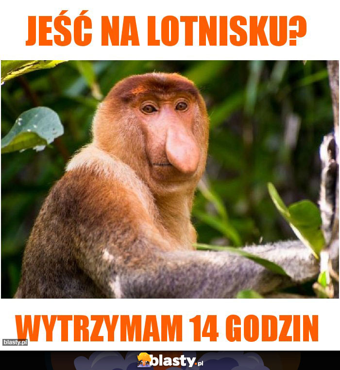 Jeść na lotnisku?