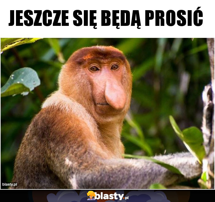 Jeszcze się będą prosić