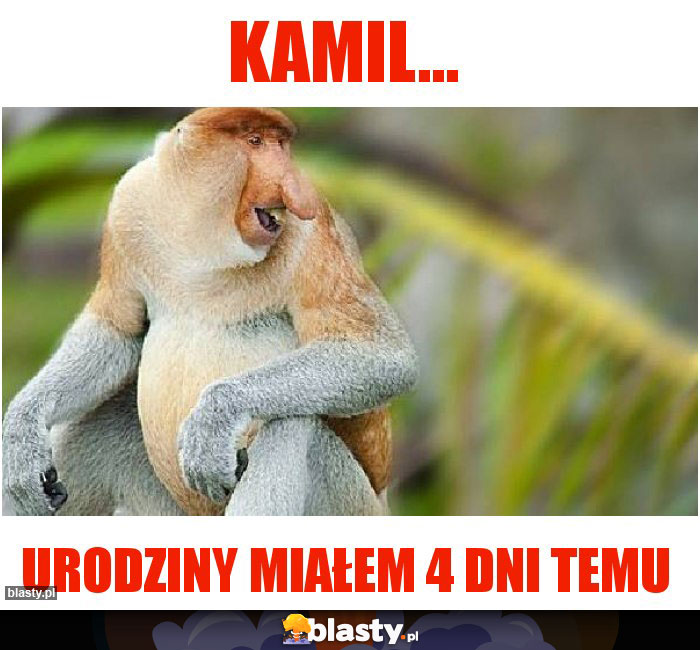 Kamil...