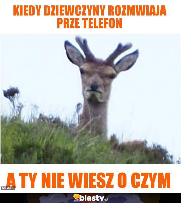 kiedy dziewczyny rozmwiaja prze telefon