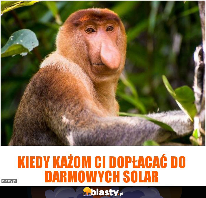 Kiedy każom Ci dopłacać do darmowych solar