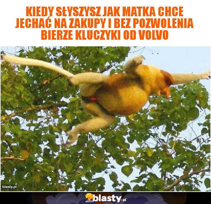 Kiedy słyszysz jak matka chce jechać na zakupy i bez pozwolenia bierze kluczyki od volvo