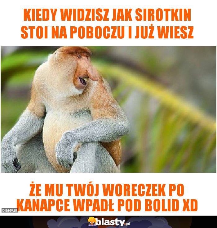 Kiedy widzisz jak sirotkin stoi na poboczu i już wiesz