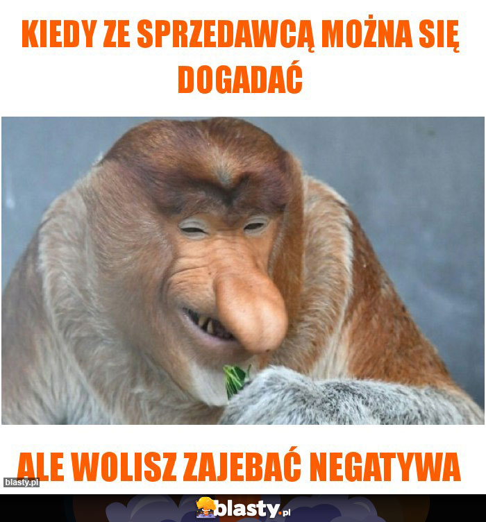 Kiedy ze sprzedawcą można się dogadać