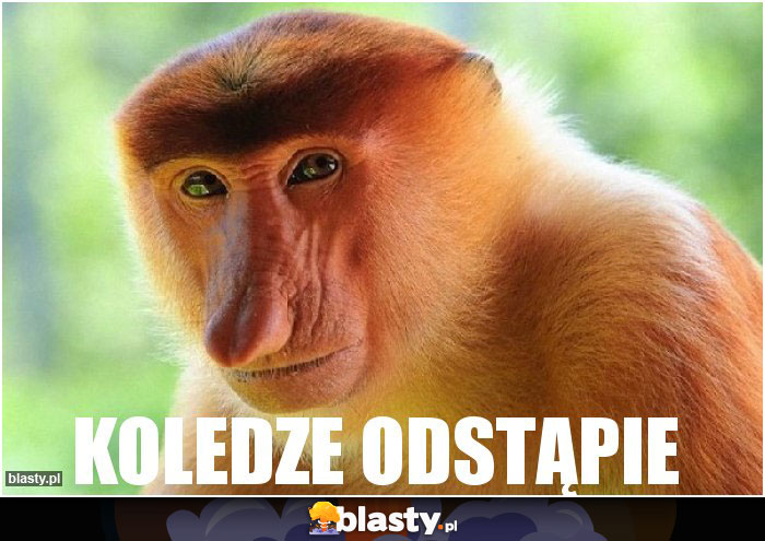 Koledze odstąpie