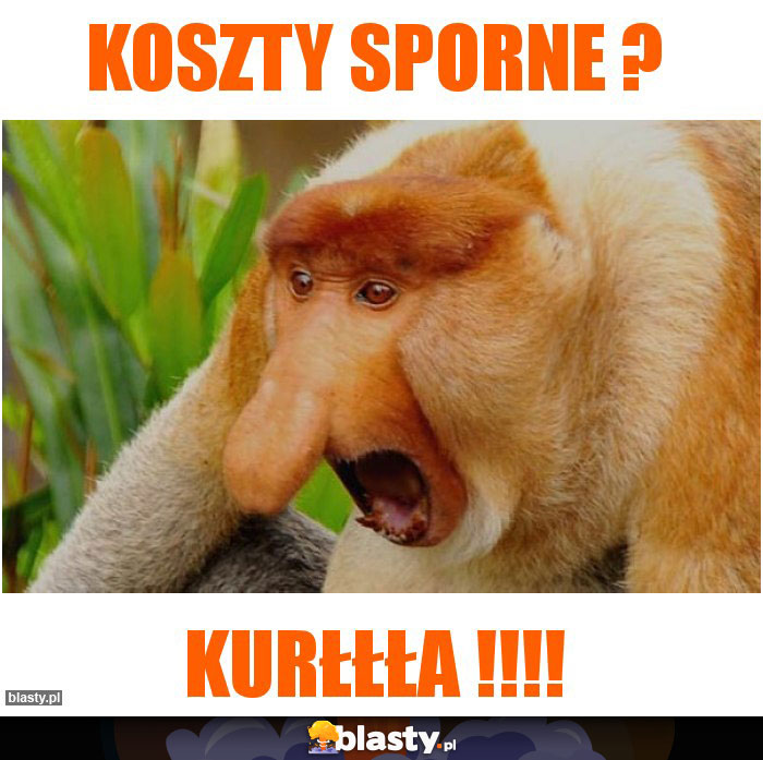 Koszty sporne ?