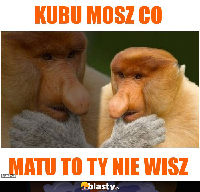 Kubu MOSZ CO