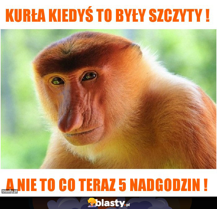 Kurła kiedyś to były szczyty !