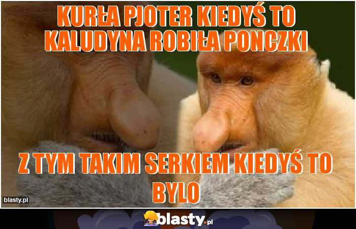 Kurła pjoter kiedyś to kaludyna robiła ponczki