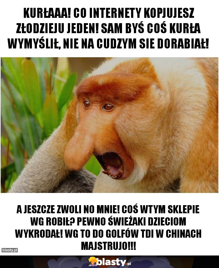 KURŁAAA! Co internety kopjujesz złodzieju jeden! Sam byś coś kurła wymyślił, nie na cudzym sie dorabiał!