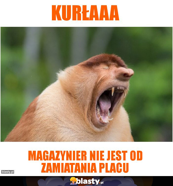 Kurłaaa