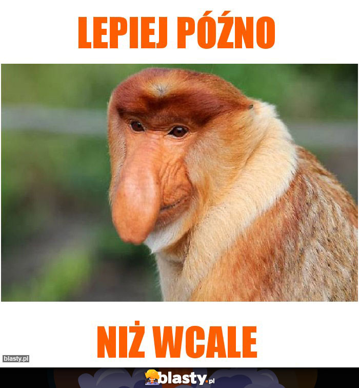 Lepiej późno