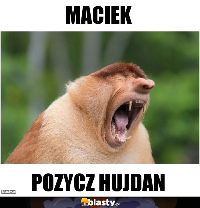 Maciek