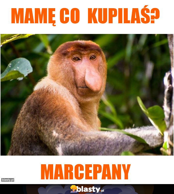 Mamę co  kupilaś?