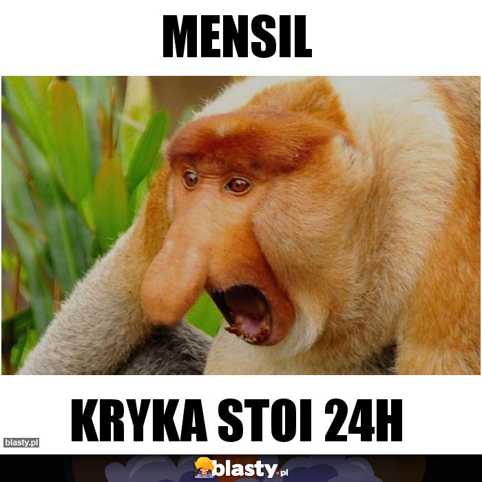 MENSIL