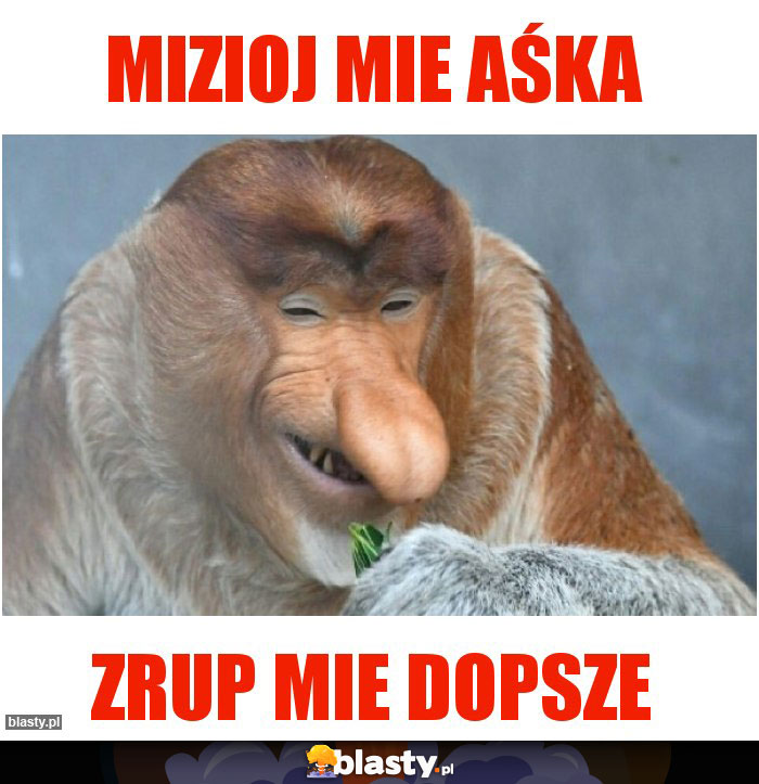 Mizioj mie Aśka