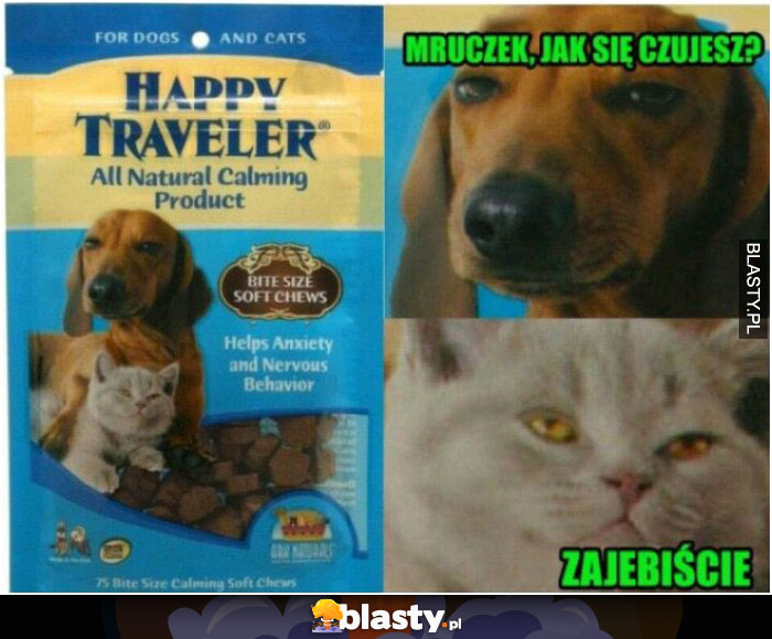 Mruczuś jak się czujesz?
