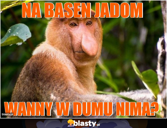 na basen jadom
